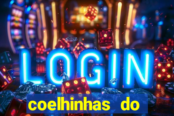 coelhinhas do brasil recife